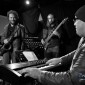 Wayne Kelly - (D700_8101)