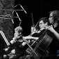 String Quartet - (D3S_23196)