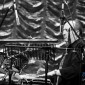 Alex Pertout - (D3S_23385)