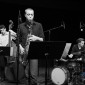 Songbird Project - (D3S_24733)