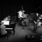Songbird Project - (D3S_24855)