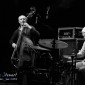 The Bad Plus - (D3S_36404)