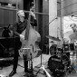 Herd Trio - (xt1_07864)