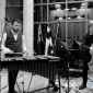 Herd Trio - (xt1_07872)
