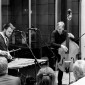 Herd Trio - (xt1_07921)