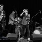 Vampires at Zephyrs Jazz - (xt1_08302)