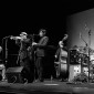 Dave Douglas Quintet - (D3S_38152)